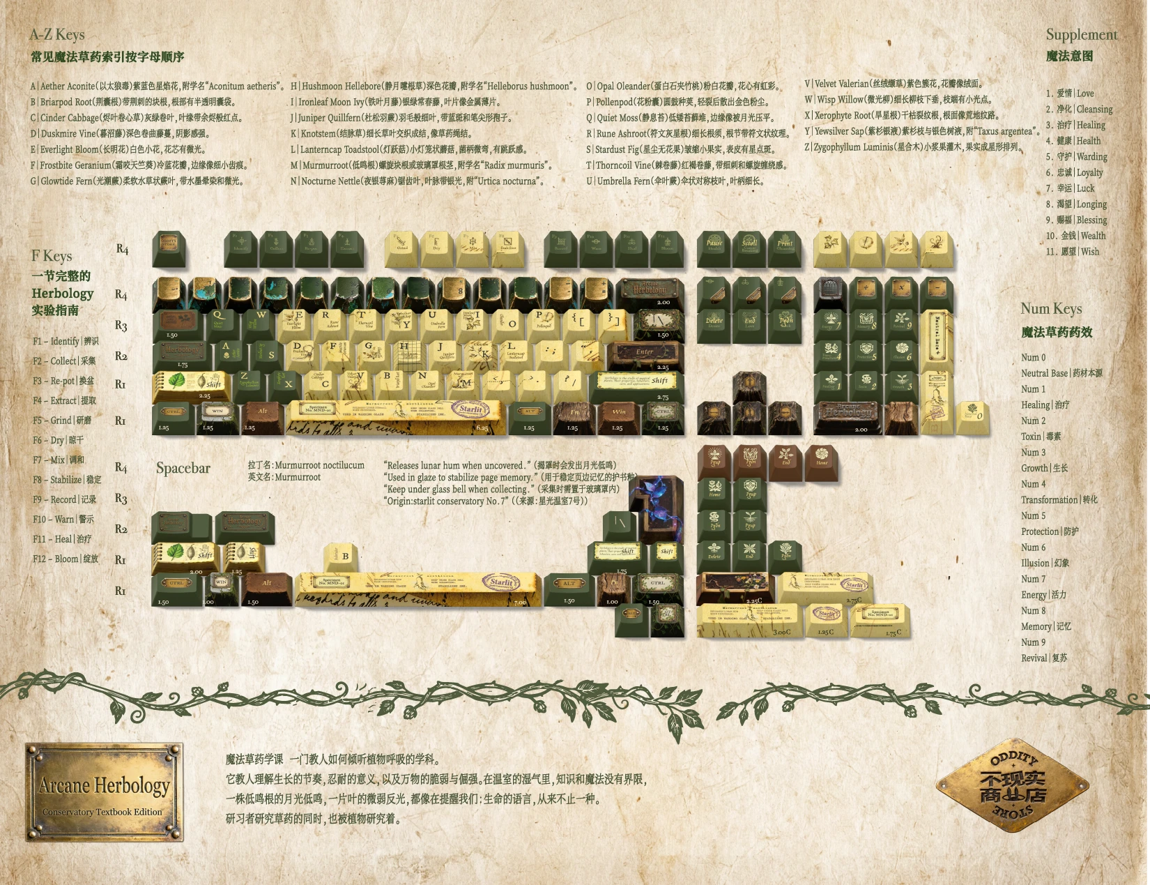 魔法温室与草药学 创意与灵感 1