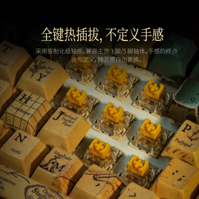大文豪100键盘套件 8